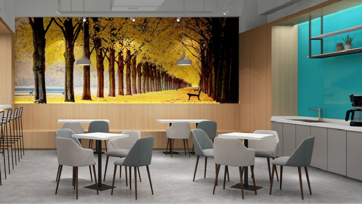 �����۰�늴ţ�6000�O��